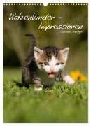 Cover-Bild zum Titel 'Katzenkinder - Impressionen (Wandkalender 2027 DIN A3 hoch), CALVENDO Monatskalender' von 'Susanne Danegger'