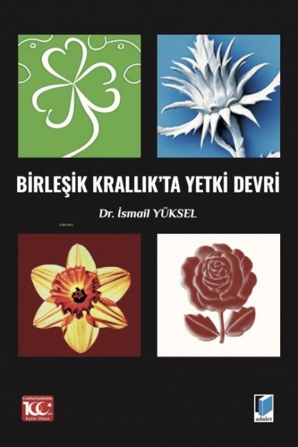 Birlesik Krallikta Yetki Devri - Ismail Yüksel