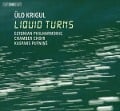 Liquid Turns - Putnins/Est. Phil. Chamb. Choir/Tallinn Chamb. Orc