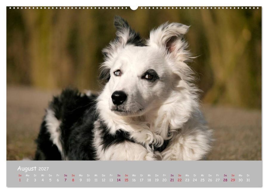 InsideView 12