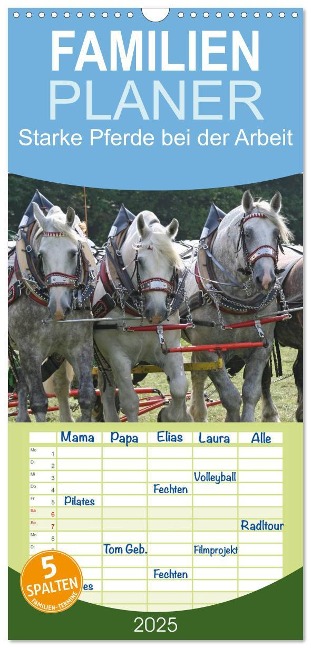 Familienplaner 2025 - Starke Pferde bei der Arbeit mit 5 Spalten (Wandkalender, 21 x 45 cm) CALVENDO - Antje Lindert-Rottke