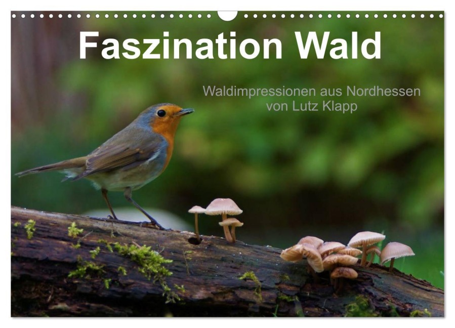 Faszination Wald. Waldimpressionen aus Nordhessen von Lutz Klapp (Wandkalender 2025 DIN A3 quer), CALVENDO Monatskalender - Lutz Klapp