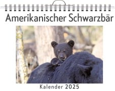 Amerikanischer Schwarzbär - Anna Koch