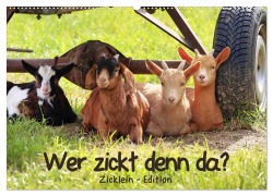 Cover-Bild zum Titel 'Wer zickt denn da? - Zicklein-Edition (Wandkalender 2026 DIN A2 quer), CALVENDO Monatskalender' von 'Sabine Löwer'