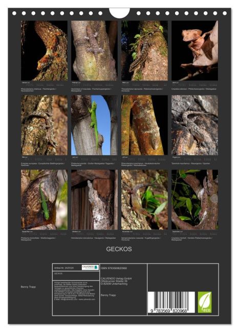 InsideView 5