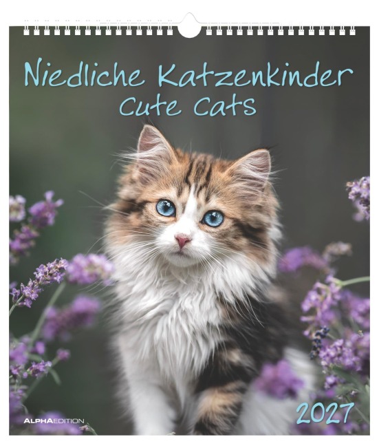 Niedliche Katzenkinder 2027 - 