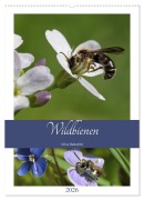 Cover-Bild zum Titel 'Wildbienen-Terminplaner 2026 (Wandkalender 2026 DIN A2 hoch), CALVENDO Monatskalender' von 'Silvia Hahnefeld'