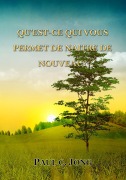 Cover-Bild zum Titel 'Qu'est-Ce Qui Vous Permet De Naitre De Nouveau?' von 'Paul C. Jong'