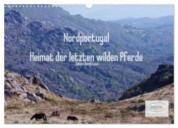 Nordportugal - Heimat der letzten wilden Pferde (Wandkalender 2026 DIN A3 quer), CALVENDO Monatskalender - Sabine Bengtsson