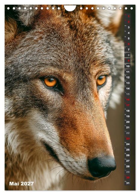 InsideView 10