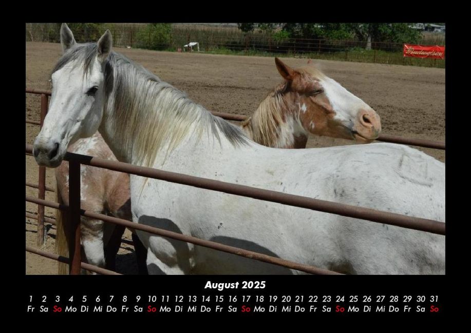 InsideView 12