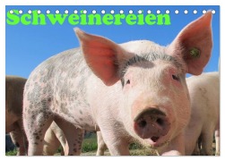 Cover-Bild zum Titel 'Schweinereien (Tischkalender 2026 DIN A5 quer), CALVENDO Monatskalender' von 'Jan Wolf'