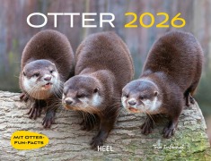 Otter Kalender 2026 Wandkalender Eintragkalender - 