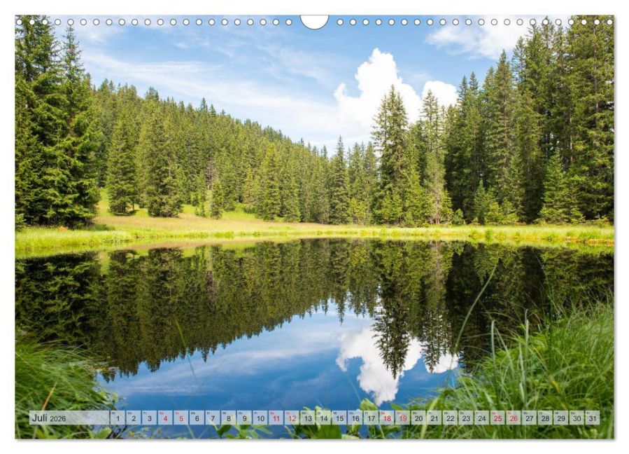 InsideView 12