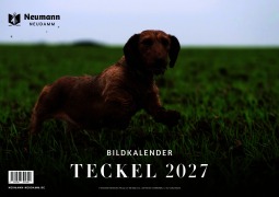 Cover-Bild zum Titel 'Teckel 2027 - Themenkalender' von ''