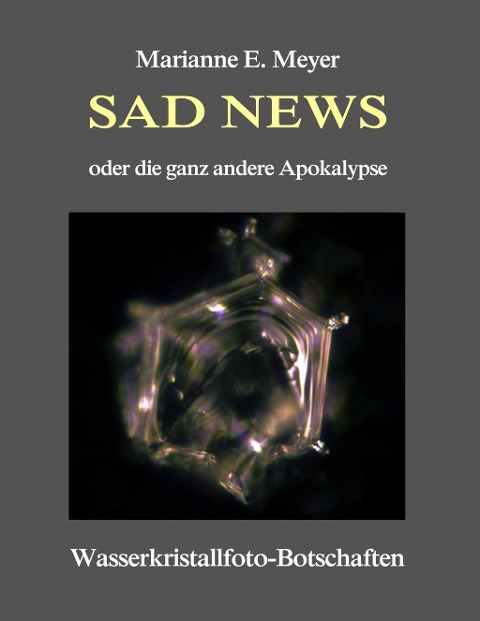 Sad News oder die ganz andere Apokalypse - Marianne E. Meyer