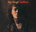 Cover-Bild zum Titel 'Teuflisch' von 'Kiev Stingl'