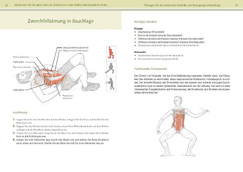 InsideView 8