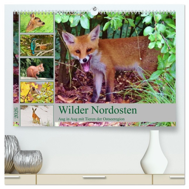 Wilder Nordosten - Aug in Aug mit Tieren der Ostseeregion (hochwertiger Premium Wandkalender 2026 DIN A2 quer), Kunstdruck in Hochglanz - René Schaack