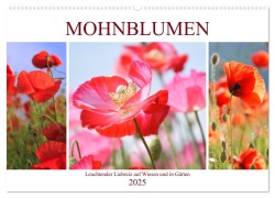 Mohnblumen. Leuchtender Liebreiz auf Wiesen und in Gärten (Wandkalender 2025 DIN A2 quer), CALVENDO Monatskalender - Rose Hurley