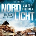 Cover-Bild zum Titel 'Nordlicht' von 'Anette Hinrichs'
