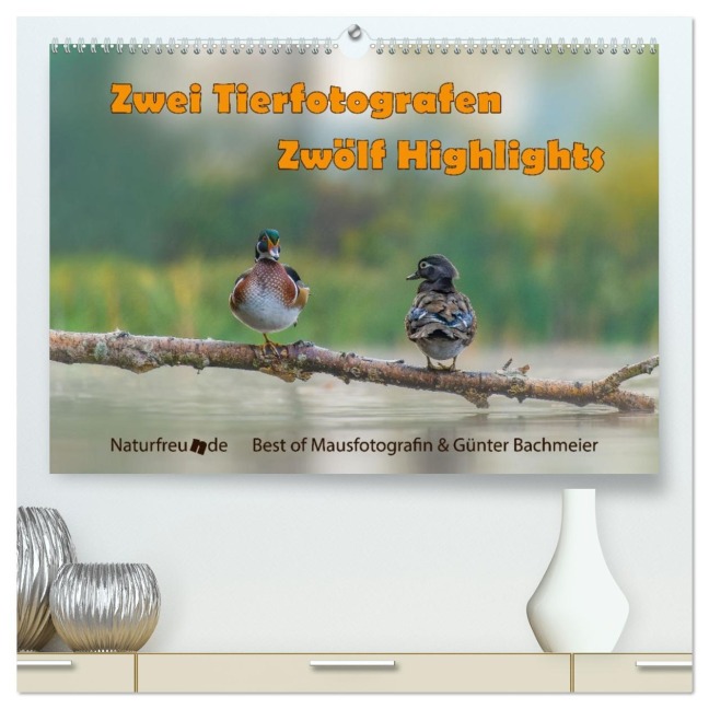 Zwei Tierfotografen Zwölf Highlights (hochwertiger Premium Wandkalender 2026 DIN A2 quer), Kunstdruck in Hochglanz - Jennifer Hetzel & Günter Bachmeier