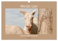 Weiße Esel - Märchenhafte Langohren (Wandkalender 2025 DIN A3 quer), CALVENDO Monatskalender - Meike Bölts