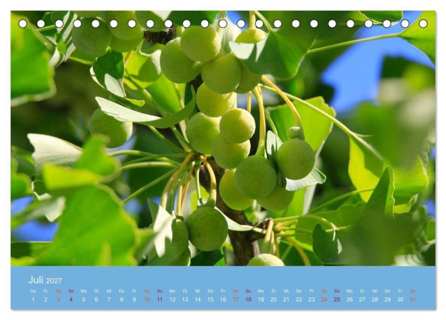 InsideView 12