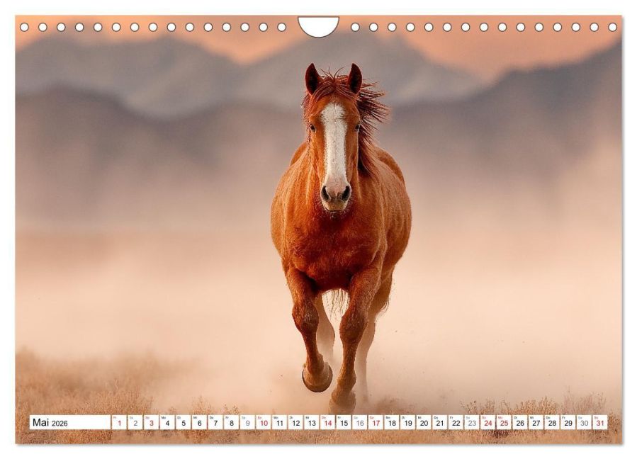 InsideView 10