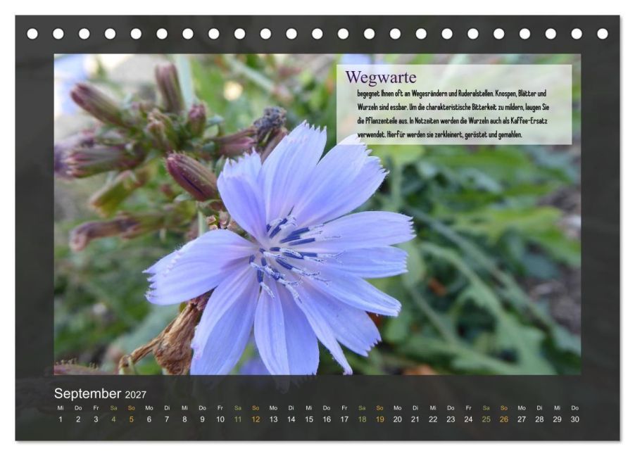 InsideView 14