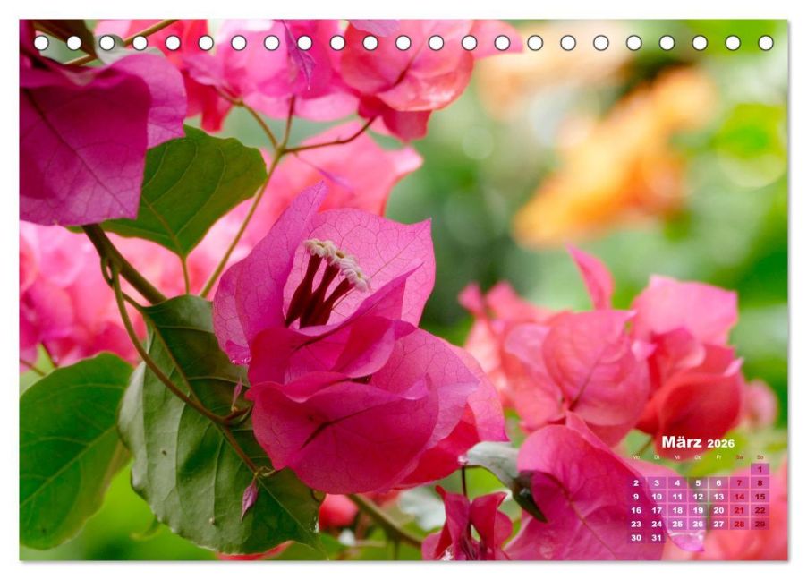 InsideView 8
