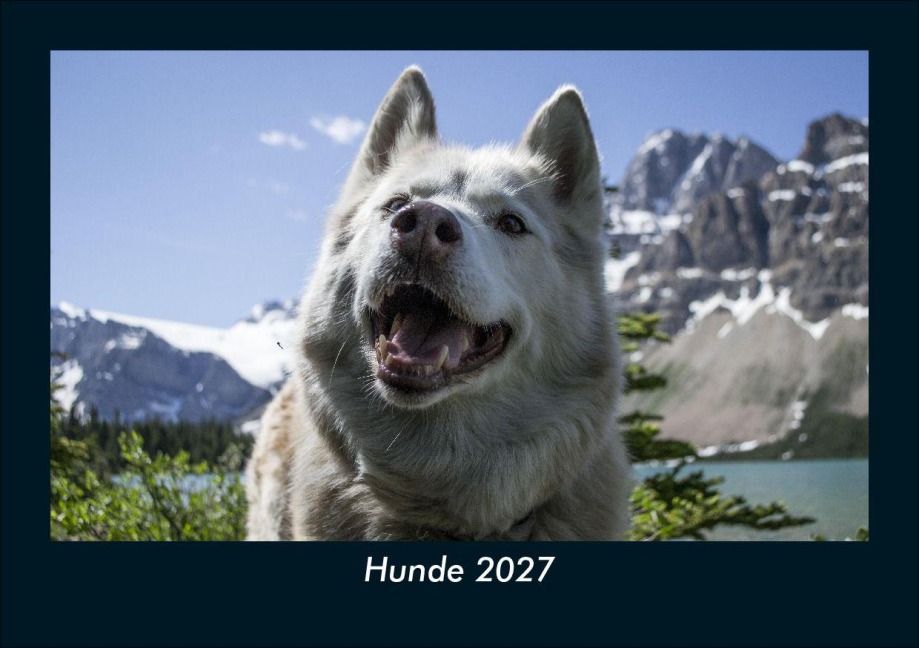 Hunde 2027 Fotokalender DIN A5 - Tobias Schmitt, Kevin Heber