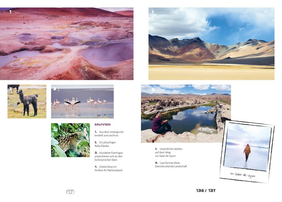 InsideView 8