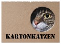 Karton Katzen (Wandkalender 2025 DIN A2 quer), CALVENDO Monatskalender - Thorsten Nilson