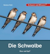 Cover-Bild zum Titel 'Die Schwalbe' von 'Barbara Rath'