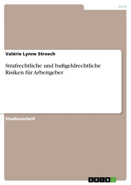 Strafrechtliche und bußgeldrechtliche Risiken für Arbeitgeber - Valérie Lynne Stroech