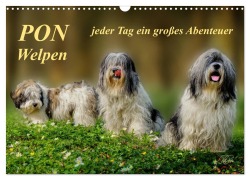 PON - Welpen, jeder Tag ein großes Abenteuer (Wandkalender 2026 DIN A3 quer), CALVENDO Monatskalender - Peter Roder