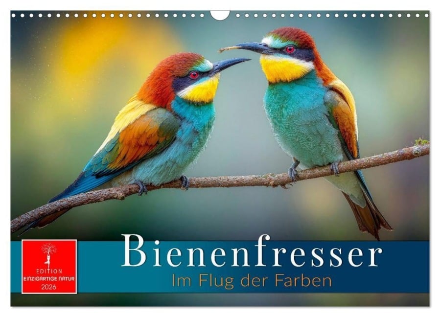 Bienenfresser - im Flug der Farben (Wandkalender 2026 DIN A3 quer), CALVENDO Monatskalender - Roder Roder