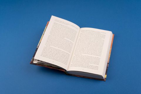 InsideView 8