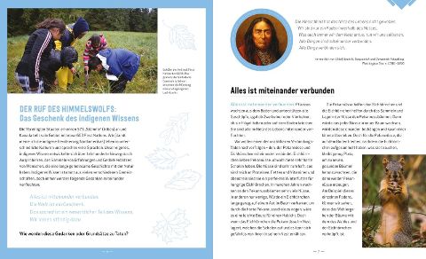 InsideView 5