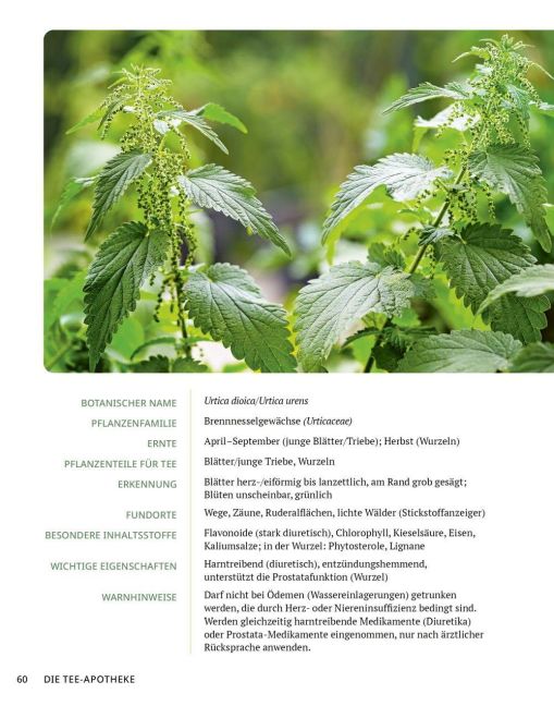 InsideView 10