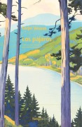 Cover-Bild zum Titel 'Los Pajaros' von 'Tarjei Vesaas'