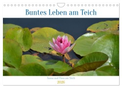 Cover-Bild zum Titel 'Buntes Leben am Teich (Wandkalender 2026 DIN A4 quer), CALVENDO Monatskalender' von 'Ingrid Franz'