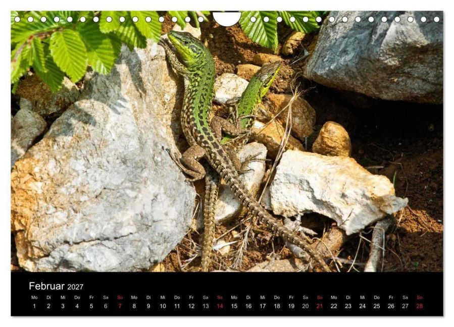 InsideView 7