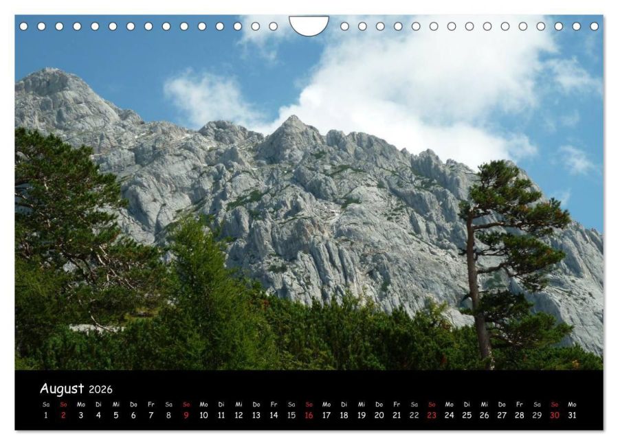 InsideView 13