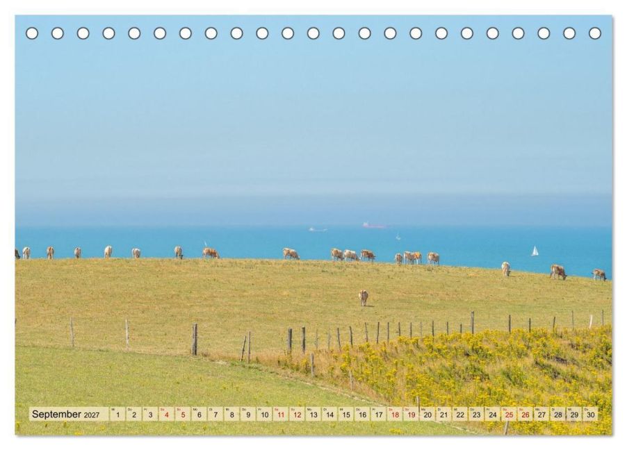 InsideView 14