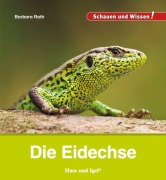 Cover-Bild zum Titel 'Die Eidechse' von 'Barbara Rath'