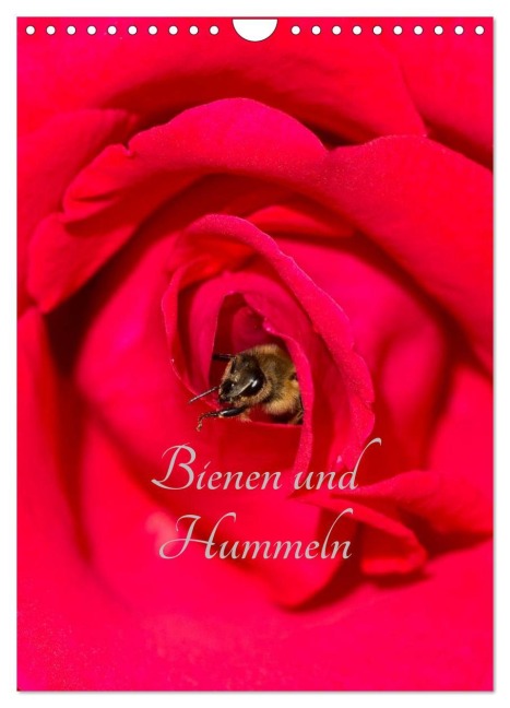 Bienen und Hummeln (Wandkalender 2026 DIN A4 hoch), CALVENDO Monatskalender - Mark Bangert