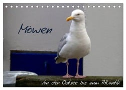 Möwen - Von der Ostsee bis zum Atlantik (Tischkalender 2026 DIN A5 quer), CALVENDO Monatskalender - Lucy M. Laube