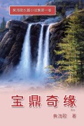 Cover-Bild zum Titel 'Bao Ding Qi Yuan' von 'Haige Huang, ¿¿¿'